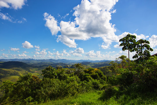 Brazilian tropical landscape