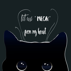 black night cat