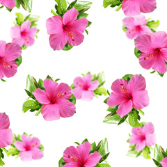 Floral background. Hibiscus 