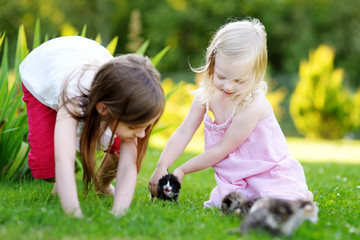 Two adorable little sisters playing with small newborn kittens © MNStudio