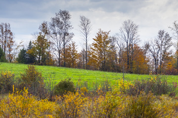 scenic view of rural countryside