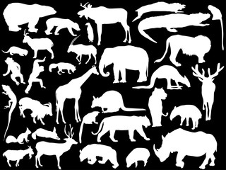 thirty two isolated animals white silhouettes