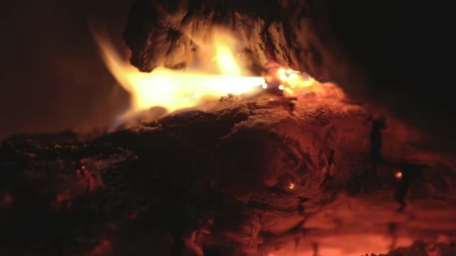 log burns in the fireplace close-up