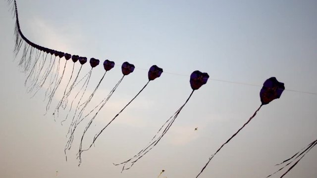 Row of kites