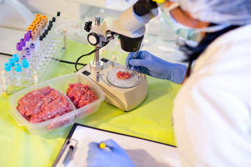 Obraz na płótnie Canvas Food quality control expert inspecting at meat specimen in the laboratory