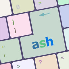 ash word on keyboard key, notebook computer vector illustration