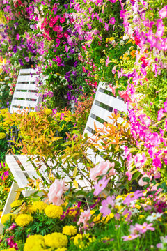 Wood chair in the flowers garden./ Wood chair in the flowers garden on summer.
