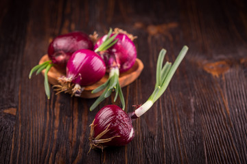 Red onions on rustic wood