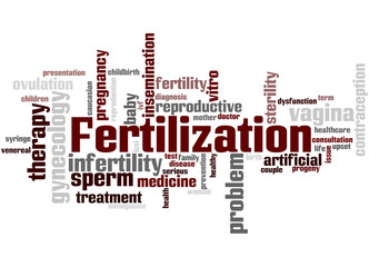 Fertilization, word cloud concept 2
