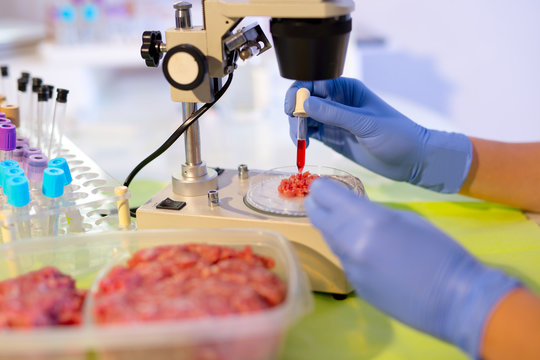 Food quality control expert inspecting at meat specimen in the laboratory