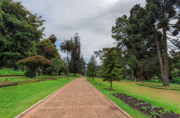 Obraz premium Nuwara Eliya, Sri Lanka. Queen Victoria Park