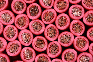 Obraz na płótnie Canvas Group of red electric cables closeup