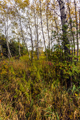 scenic view of rural countryside