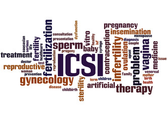 ICSI, Intracytoplasmic sperm injection 2