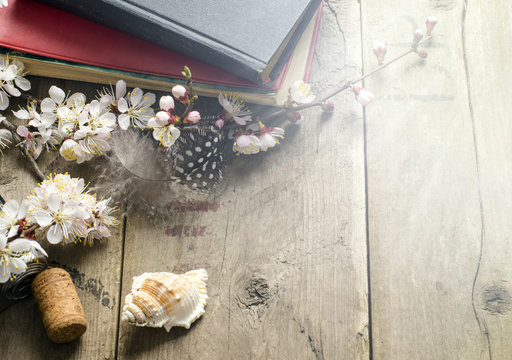 vintage still life with old books apricot blossom flowers and retro camera on a wooden surface