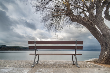 Bench looks the Lake