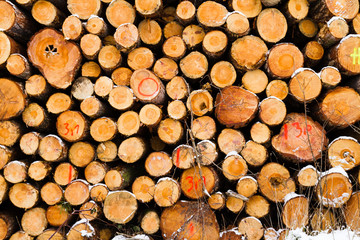 Snow covered fresh cut firewood stack at winter.