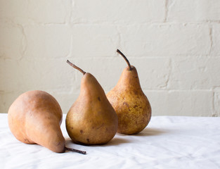 Three beurre bosc pears on a white tablecloth against a white brick wall