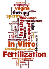 In Vitro Fertilisation, word cloud concept 6