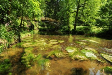 Kamenice river