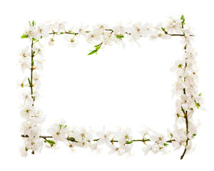 Frame with blossoming cherry branches