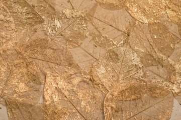 Decorative Dried Leaf Skeleton Sheet
