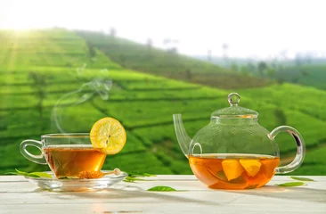 Crédence de cuisine en verre imprimé Theé Tasse de thé chaud avec plantation sur fond