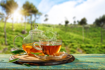 Cup of hot tea with plantation on background