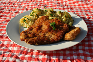 organisch lifestyle wiener schnitzel mit bayrischem kartoffelsalat essig zwiebeln 