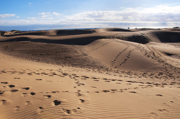 Fototapeta na wymiar Maspalomas dunes in Gran Canaria
