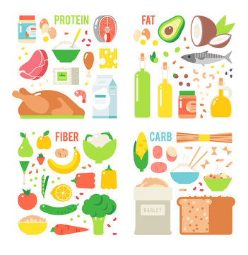 Healthy Nutrition, Proteins Fats Carbohydrates Balanced Diet, Cooking, Culinary And Food Concept Vector. 