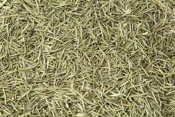 Dried rosemary leaves - Rosmarinus officinalis © Luis Echeverri Urrea