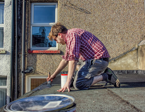 DIY. Young Homeowner Sealing Roof, Home Maintenance Improvement