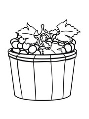 grape grapes harvest wine stomp tasty bucket vat occur vintage