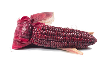 purple corn cob on white background

