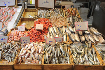 Fish Market