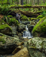 Cascades on small Creek in the forest