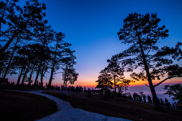 beautiful sunlight and fog at phu ruea in loei province thailand