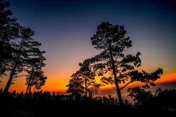 beautiful sunlight and fog at phu ruea in loei province thailand