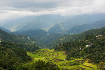 Naklejka premium Batad rice terraces in Ifugao, Philippines.