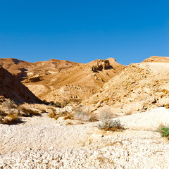 Negev Desert