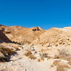 Negev Desert
