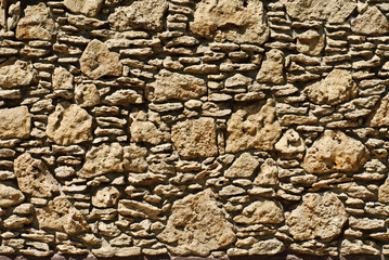 Coquina background. Grunge fossil limestone texture.