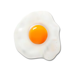 Fried egg, vector