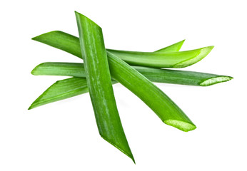 Obraz premium Green onion herb chopped isolated on white background