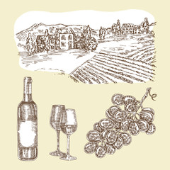 Plakaty  Zestaw wektor wina. Ręcznie rysowana butelka wina i winnicy