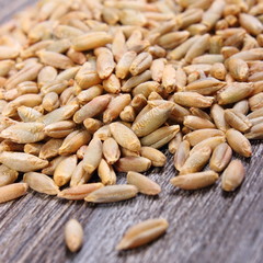 Heap of rye grain on wooden background