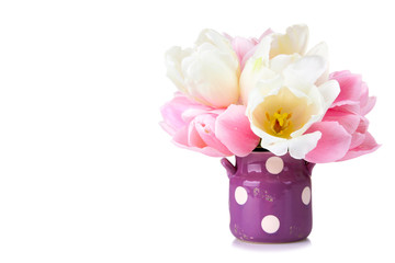 the pink and white tulips in an iron pot isolated on white background