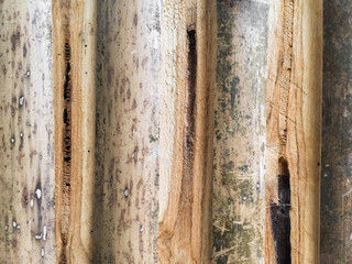 Bamboo wooden texture background