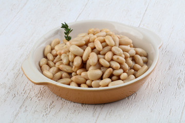 White canned kidney